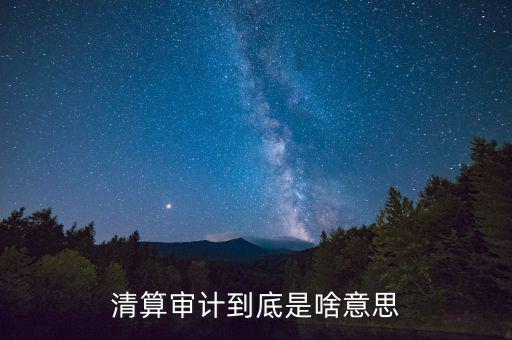 什么是申報清冊，電子稅務(wù)廳的重新獲取申報清冊是什么意思