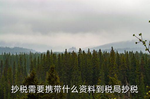 報稅查什么輔導(dǎo)信息，剛申請為一般納稅人在哪查看是否要經(jīng)過輔導(dǎo)期納稅申報初始化填5