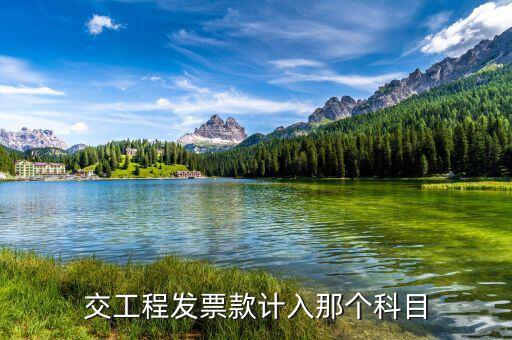 工程發(fā)票的單位是什么，開工程票是在國稅還是地稅代開
