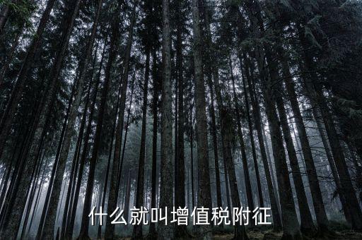 什么是增值稅及附加稅，什么就叫增值稅附征
