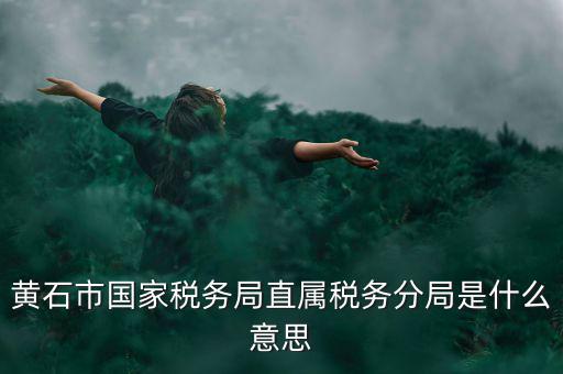 國(guó)稅直屬分局是什么局，國(guó)稅局是什么單位