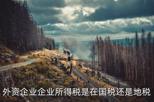 外資企業(yè)交什么稅，涉外企業(yè)應繳些什么稅