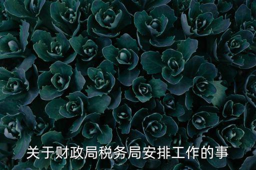 國稅局什么工作計劃，關(guān)于財政局稅務(wù)局安排工作的事