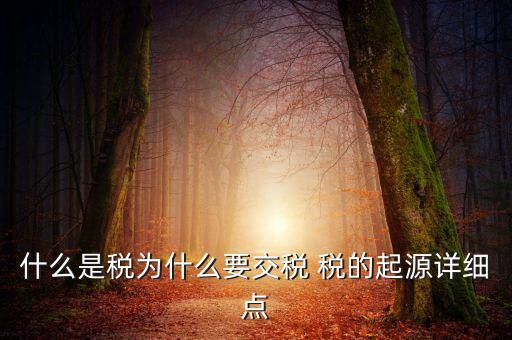 什么是稅為什么要交稅 稅的起源詳細(xì)點