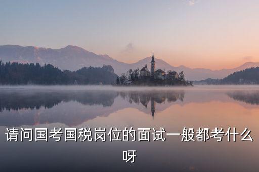 國(guó)稅標(biāo)兵人才考什么，國(guó)稅通用能力測(cè)試考什么
