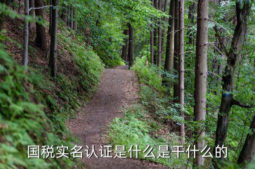 實名辦稅針對什么企業(yè)，國稅實名認證是什么是干什么的