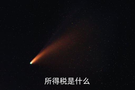 所得稅支出是什么，所得稅是什么