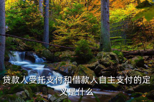 自主支出是什么，自主支出是什么意思求解釋