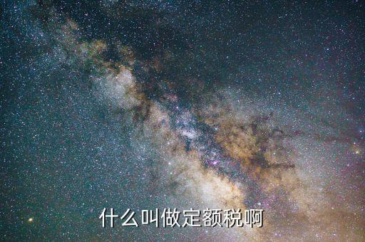 定額定稅是什么意思，什么叫做定額稅啊