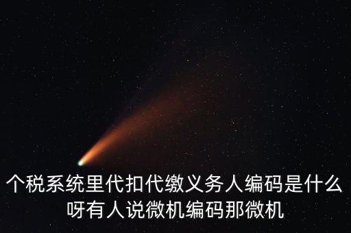 個稅系統(tǒng)里代扣代繳義務(wù)人編碼是什么呀有人說微機(jī)編碼那微機(jī)