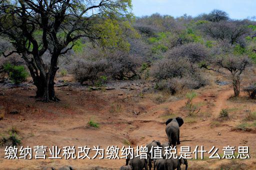 營(yíng)業(yè)稅改為增值稅是什么意思，營(yíng)業(yè)稅改增值稅指的是什么