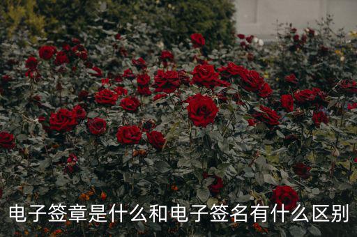 國稅電子簽章什么意思，什么是電子印章