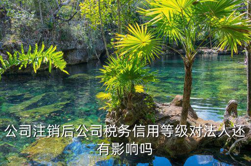 國(guó)稅評(píng)級(jí)有什么影響，納稅評(píng)估的作用有哪些