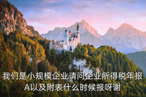 所得稅年報(bào)填什么時(shí)間，企業(yè)所得稅年報(bào)什么時(shí)候報(bào)
