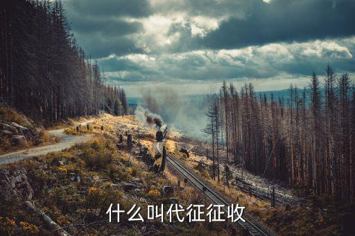 什么叫代征規(guī)費，什么是規(guī)費
