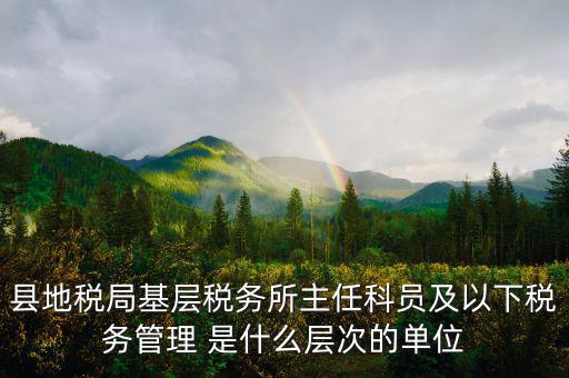縣地稅局基層稅務所主任科員及以下稅務管理 是什么層次的單位