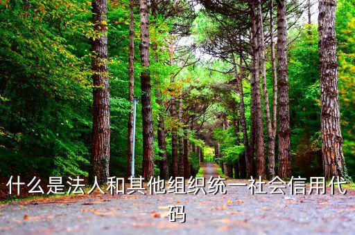 機(jī)關(guān)有社會(huì)信用代碼是什么意思，社會(huì)信用代碼與機(jī)構(gòu)信用代碼有什么不同
