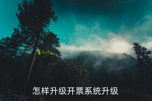 開票用什么軟件升級，怎樣升級開票系統(tǒng)升級