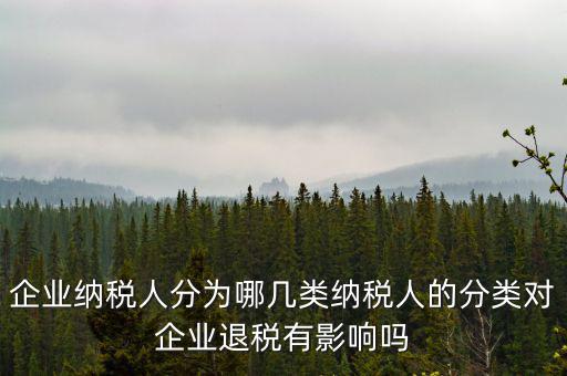 什么A級(jí)B級(jí)信用納稅人，A級(jí)增值稅一般納稅人C級(jí)增值稅一般納稅