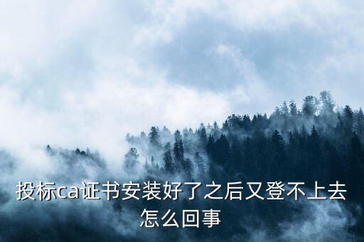 ca登陸不上是什么原因，登不上是怎么回事