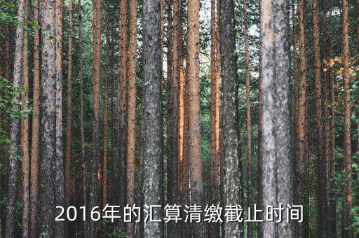 匯算清繳什么時(shí)候截止，一般納稅人企業(yè)所得稅匯算清繳時(shí)間是什么時(shí)候