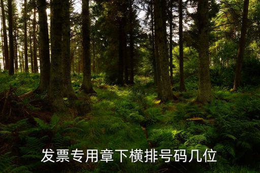 發(fā)票專用章的號碼是什么，發(fā)票專用章和公章上的號碼是一樣的不都是執(zhí)業(yè)許可證號