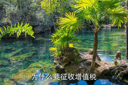 境外勞務為什么要交增值稅，為什么要交增值稅