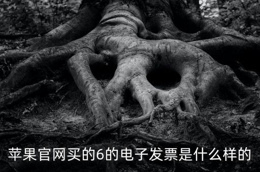 蘋(píng)果官網(wǎng)買(mǎi)的6的電子發(fā)票是什么樣的