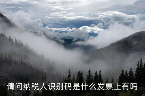 發(fā)票納稅人代碼是什么意思，請(qǐng)問(wèn)納稅人識(shí)別碼是什么發(fā)票上有嗎