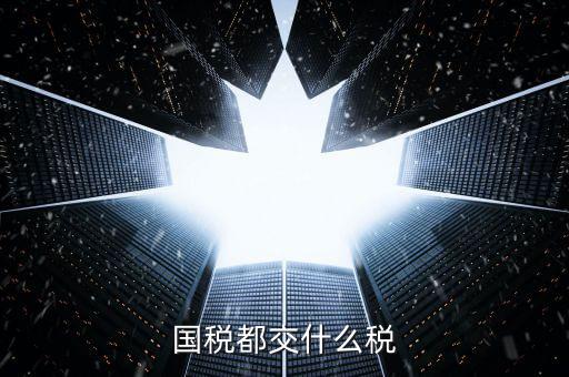 國稅稅款是什么，國稅都交什么稅