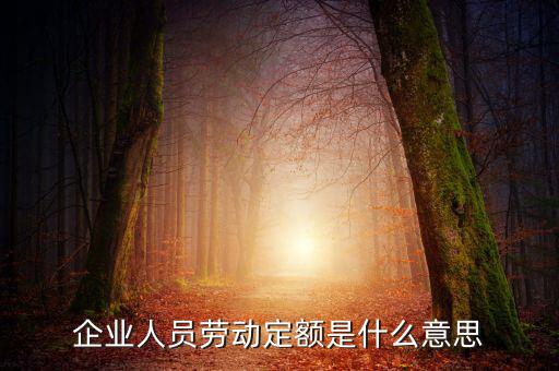 企業(yè)人員勞動(dòng)定額是什么意思