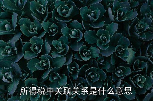 所得稅關聯(lián)表是什么意思，所得稅中關聯(lián)關系是什么意思