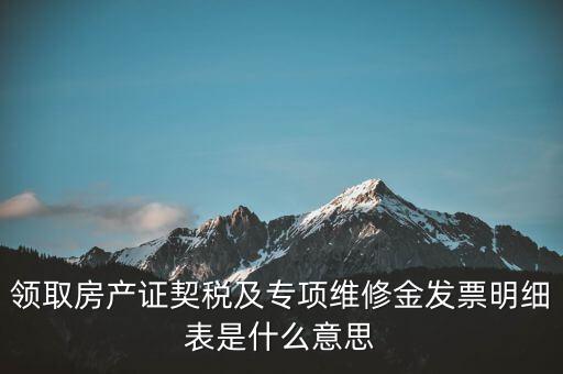 領(lǐng)取房產(chǎn)證契稅及專(zhuān)項(xiàng)維修金發(fā)票明細(xì)表是什么意思