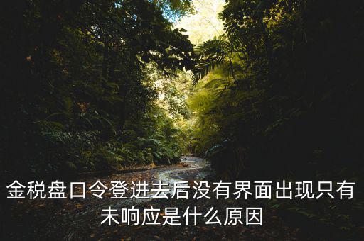 金稅盤口令登進去后沒有界面出現(xiàn)只有未響應(yīng)是什么原因