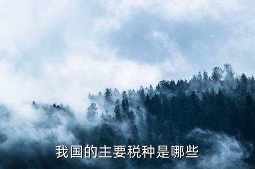 中國三大稅收是什么，中國境內(nèi)的稅收種類