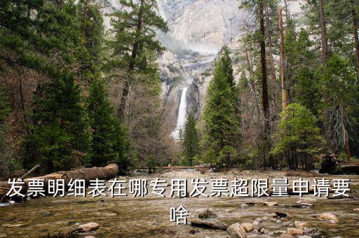 發(fā)票明細(xì)表在哪專(zhuān)用發(fā)票超限量申請(qǐng)要啥