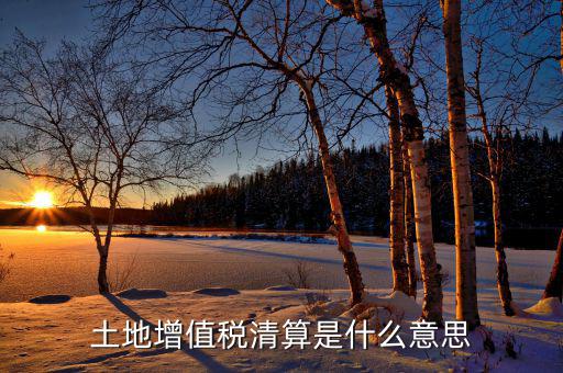 土地增值稅納稅清算什么意思，土地增值稅清算