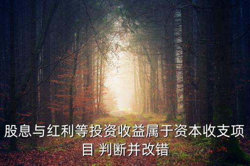 股息紅利等投資收益屬于什么，股息與紅利等投資收益屬于資本收支項(xiàng)目 判斷并改錯(cuò)
