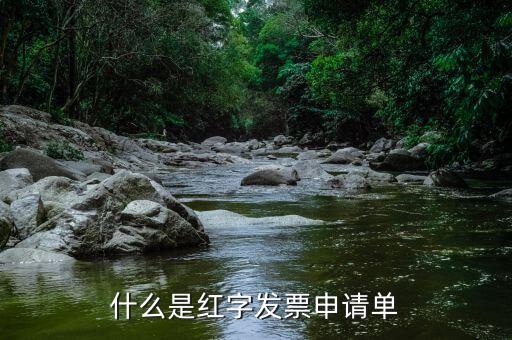 紅字申請(qǐng)單是什么意思，由銷售方申請(qǐng)開具紅字發(fā)票是什么意思