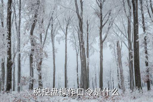 金稅盤(pán)開(kāi)票密碼口令是什么意思，金稅盤(pán)清零后重新領(lǐng)取了發(fā)票開(kāi)票口令是什么