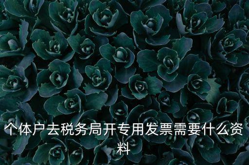 個體戶開專票需要什么，個體在國稅局開增值稅專用發(fā)票需要什么資料