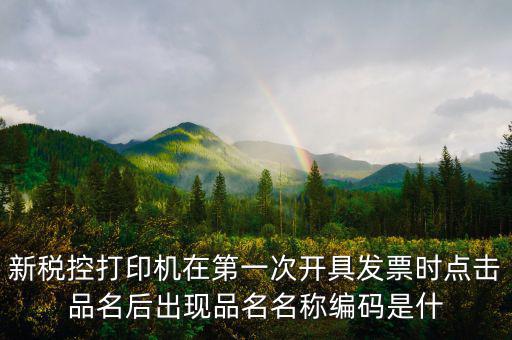 發(fā)票 商品編碼是什么，發(fā)票號碼和發(fā)票代碼是什么我的發(fā)票上只有單據(jù)編碼和貨品編號啊