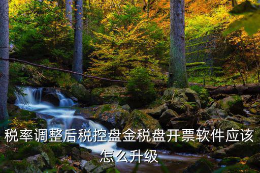 稅率調整后稅控盤金稅盤開票軟件應該怎么升級