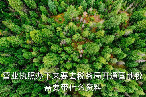 有了營(yíng)業(yè)執(zhí)照要帶什么去辦稅，拿到營(yíng)業(yè)執(zhí)照銀行開(kāi)戶后去辦稅帶什么證件