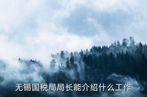 無錫地稅局長接待日是什么，無錫國稅局局長能介紹什么工作