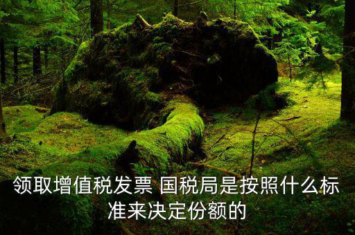 領(lǐng)增值稅票有什么要求，對(duì)新開(kāi)戶一般納稅人領(lǐng)購(gòu)增值稅專用發(fā)票有什么要求