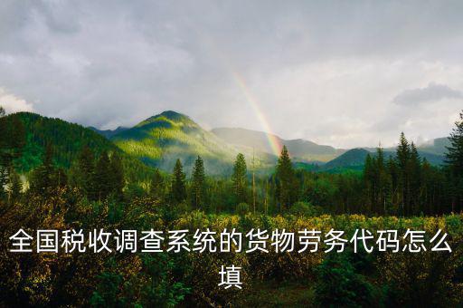 商品和勞務編碼是什么，貨物勞務代碼如何填
