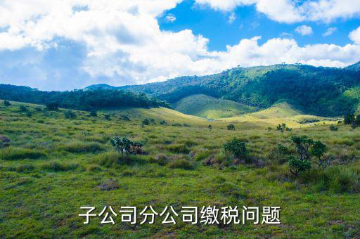 子公司繳稅在什么地方，子公司分公司繳稅問題
