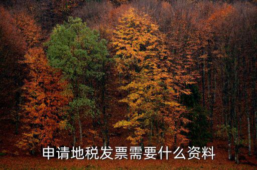 地稅局開票需要帶什么，申請(qǐng)地稅發(fā)票需要什么資料