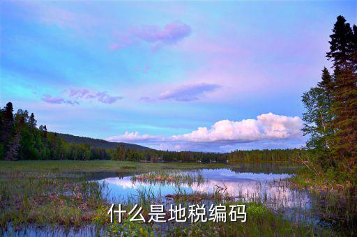 地稅登記編號是什么，什么是地稅號